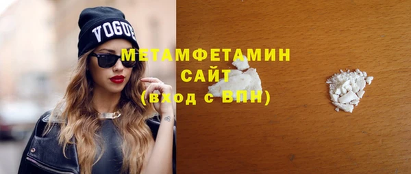 мет Алексин