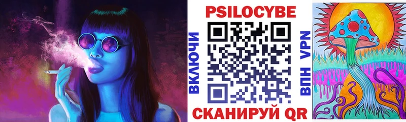 где найти   Петропавловск-Камчатский  Галлюциногенные грибы Psilocybe 