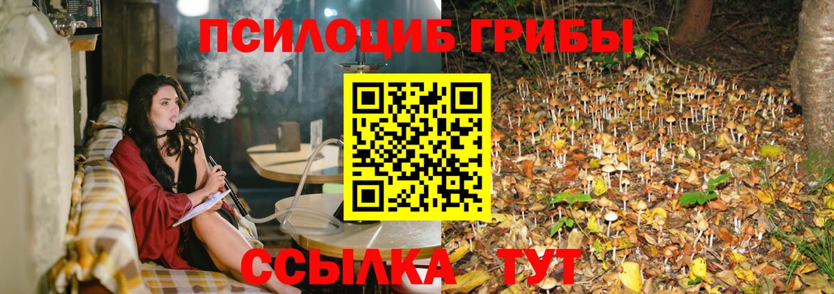 Галлюциногенные грибы мухоморы  продажа наркотиков  Петропавловск-Камчатский  Вход с VPN 